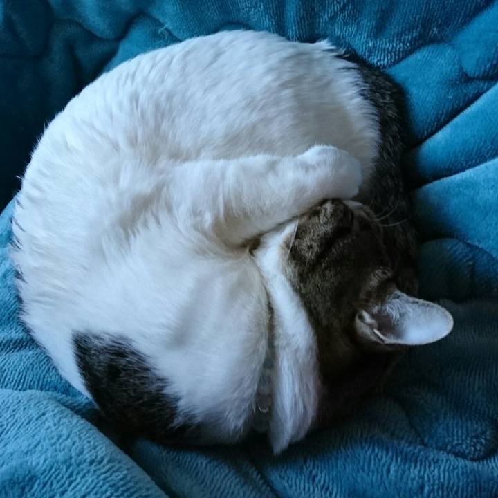 14f3ba25 243f 4b9a af69 4db488e876b8