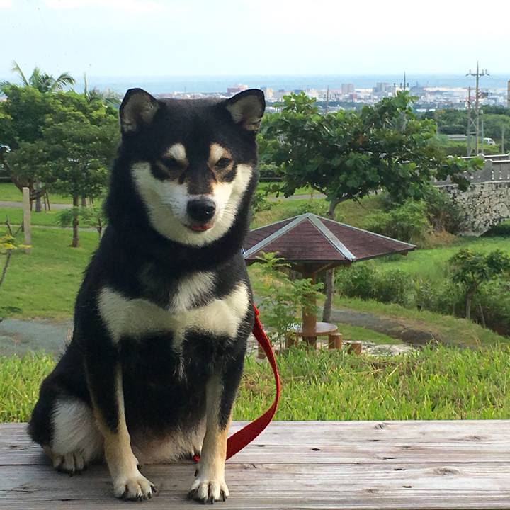 14f3c2cb 21c2 42c5 b088 e040066e6f76