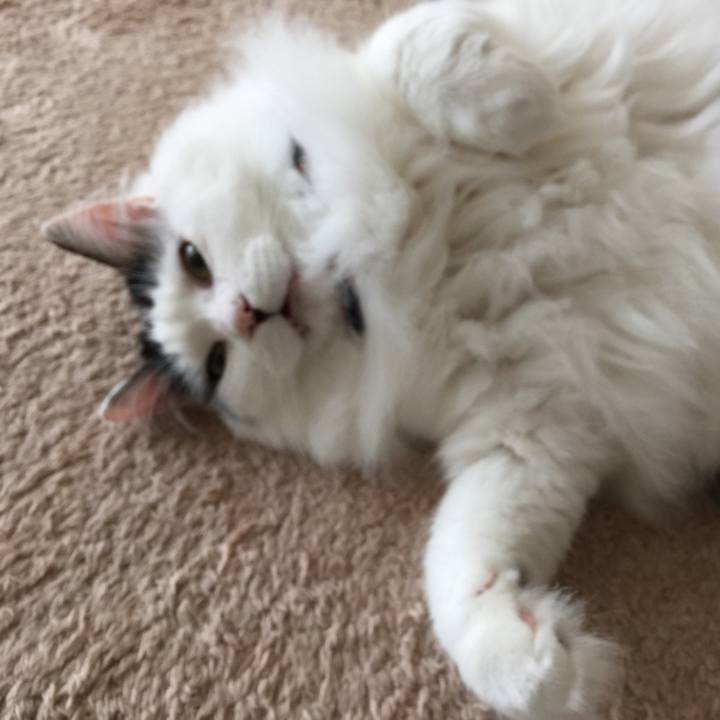 14f40e79 76f9 494b bbab 6e2b1c8a5ee7