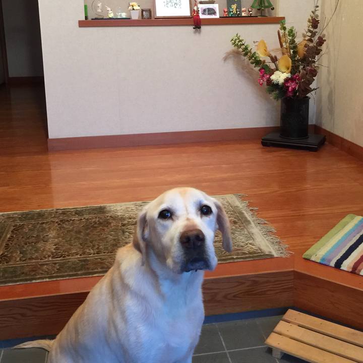 14f47589 02c5 4207 896f 55ffcf64b374