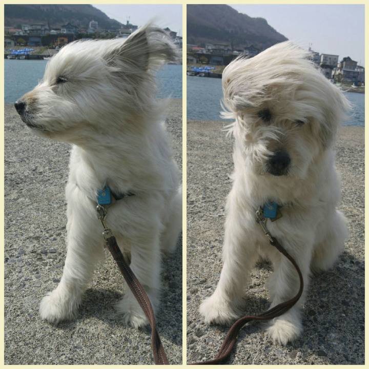 14f489ee f1e9 48ee a5af fcd52b6b7189