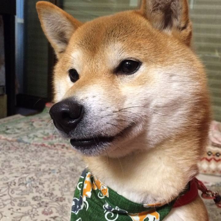 14f4ba34 2e30 4723 8ea7 d2579884b7b5