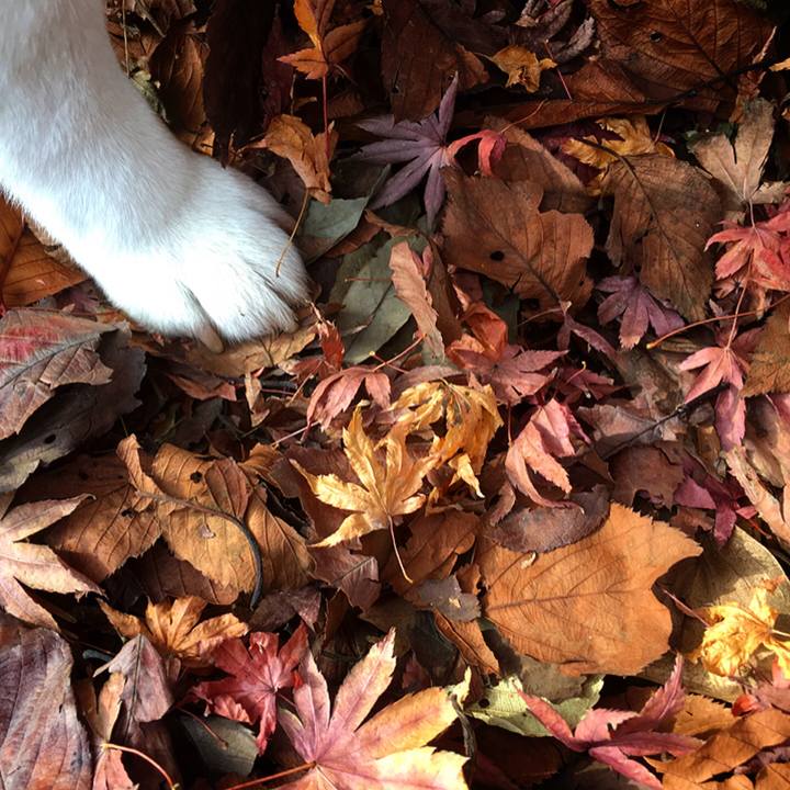 14f4ef9d 7eab 47d2 bad8 35f02e5e844b