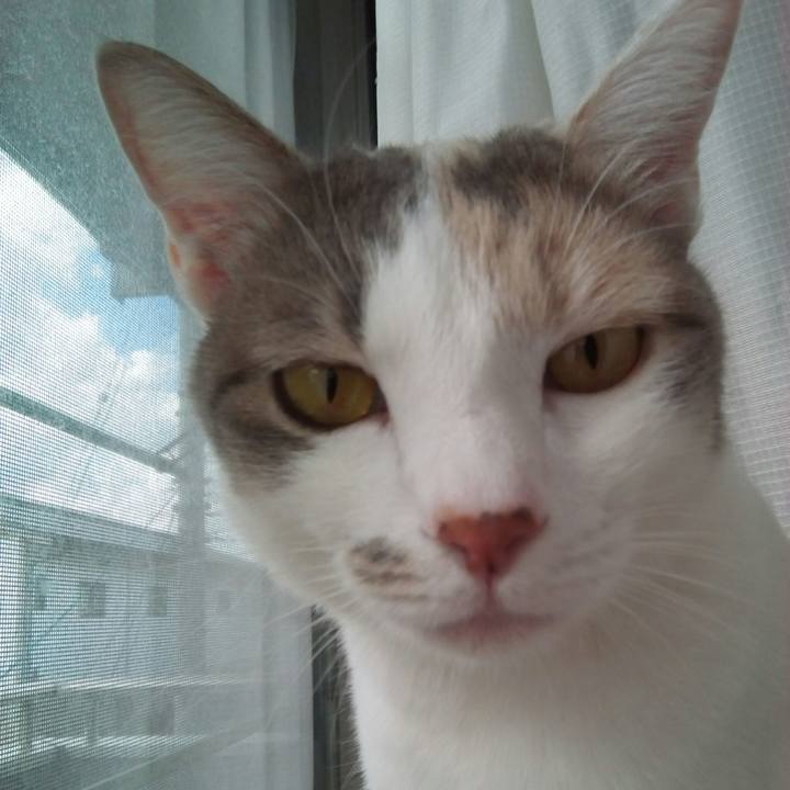 14f63dbd 51d9 4333 be06 0a3004aa2e59