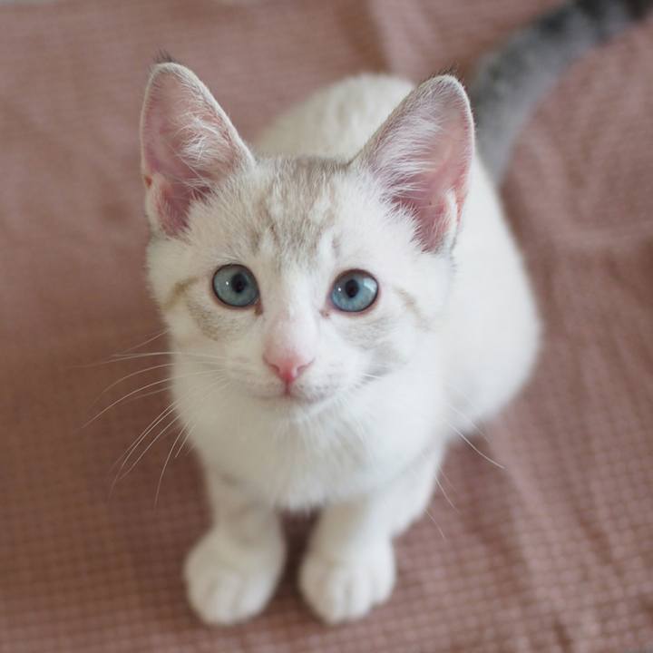 14f69879 5426 439b 84bb a02f98beceb5