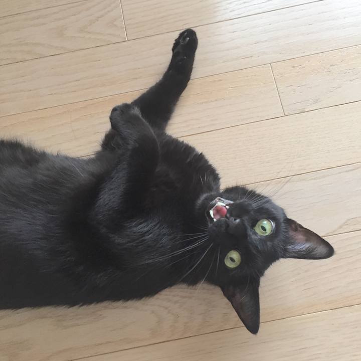 14f6e26b 2bd3 45e9 99d0 8eed464822d9