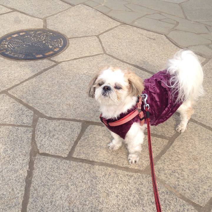 14f78b89 2787 4fcf 91dd 64a8501c761e