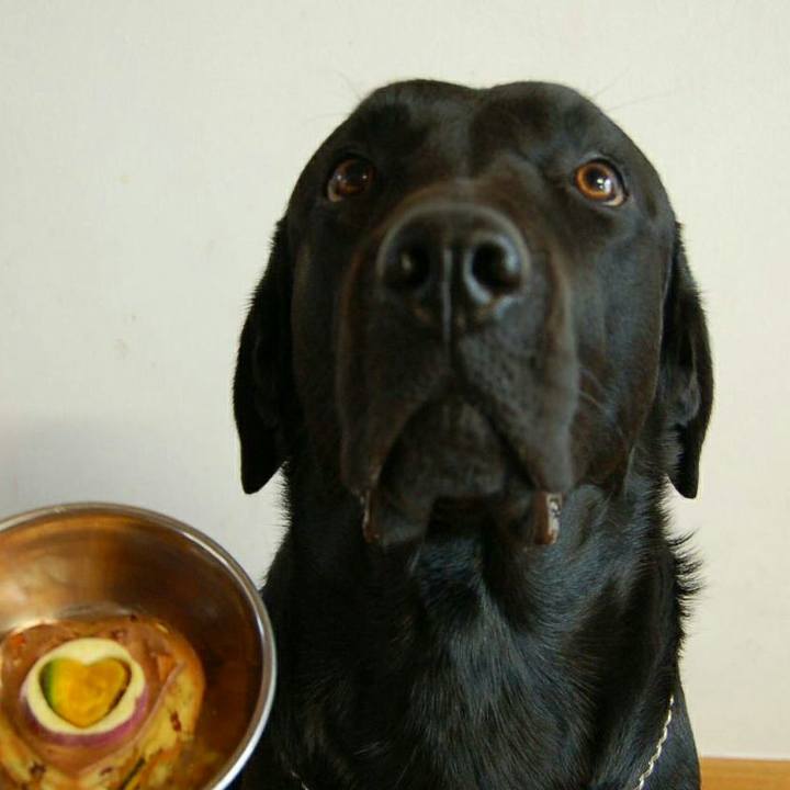 14f7c1f0 7743 48ff a34e 7593ddfff248