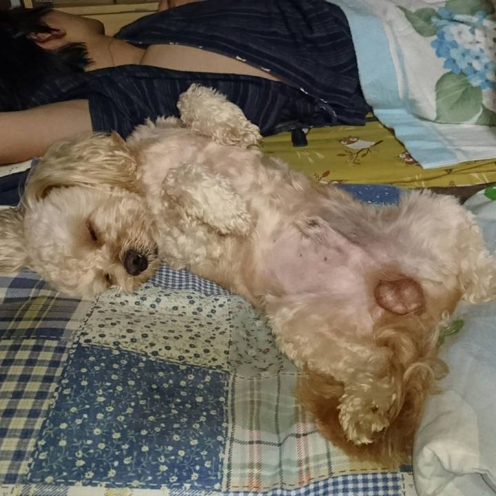 14f838cc c9d9 4177 b172 006cd0b70673