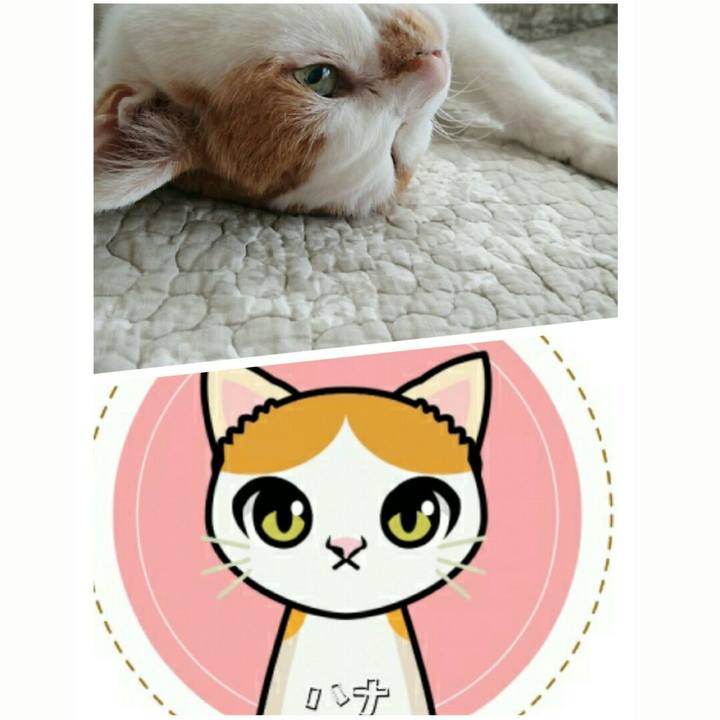 14f84847 69f8 4a59 8f43 d9c29f1b71aa