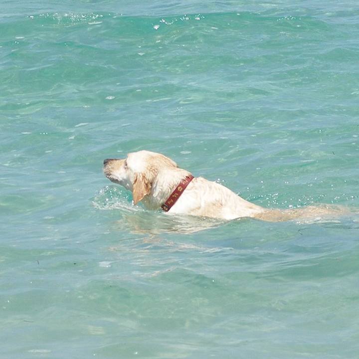 14f884f0 317b 49bd 9408 53a3518c0704