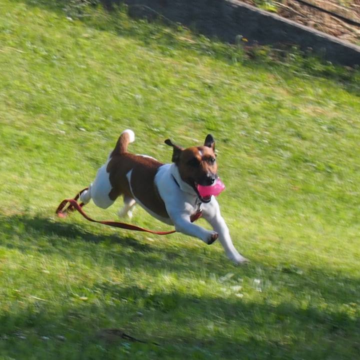 14f8947f 7188 4662 a2c6 1888627bf775