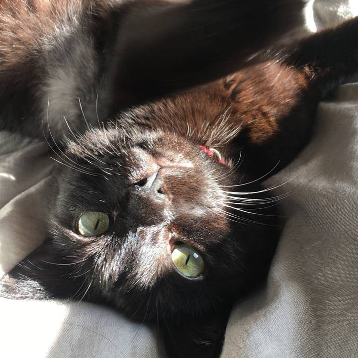 14f8f514 44ac 4940 bd84 3427eaff6575