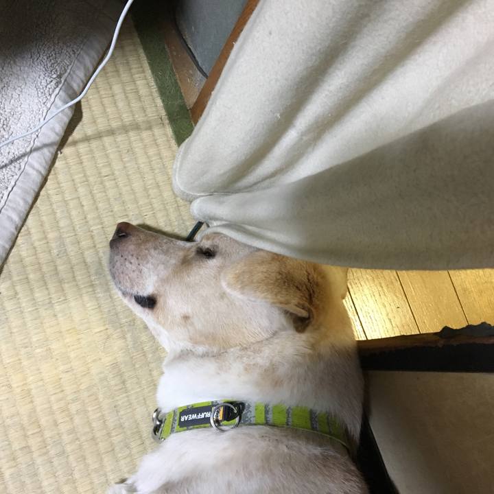 14f968f3 29ee 4a43 8416 b10055988bf1