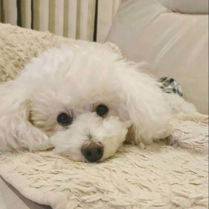 14fa06da 3584 498d ac01 80c5b0645be4