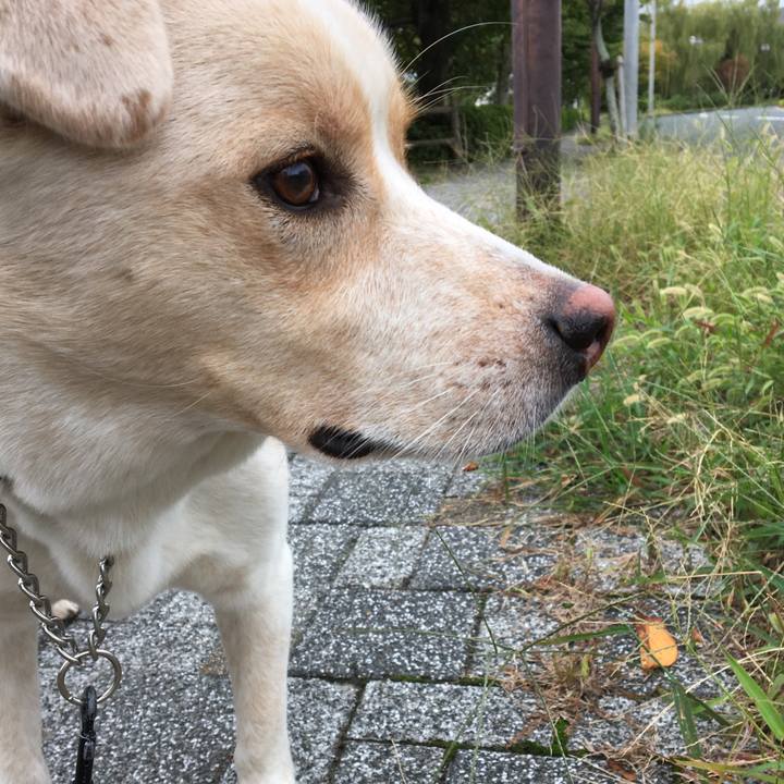 14fa996a 21ef 4228 ae30 b00356aa293f