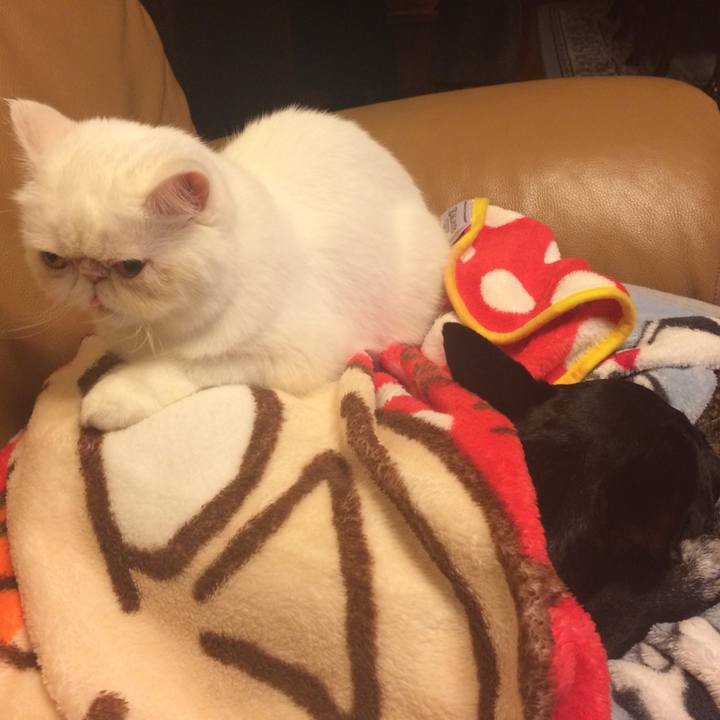 14fac935 64ca 4e05 8b7c 1e87262b2901