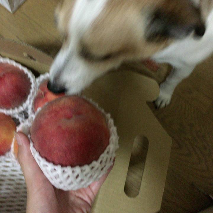 14faf2c8 7958 46ab 869c 96a5b01d5137