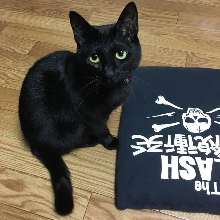 14fb28a0 316a 45f4 8a57 815f11f6c0d7