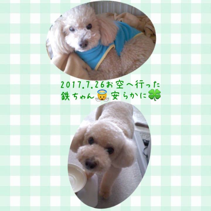 14fb2e20 3a70 4e67 9709 0df953f5cb03