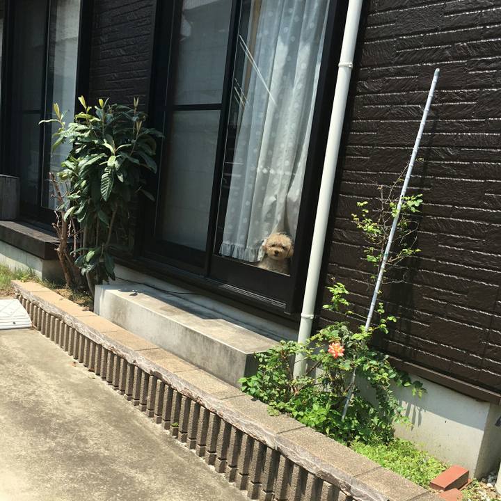 14fc65e6 a166 4592 9c4a 1dba45712b10