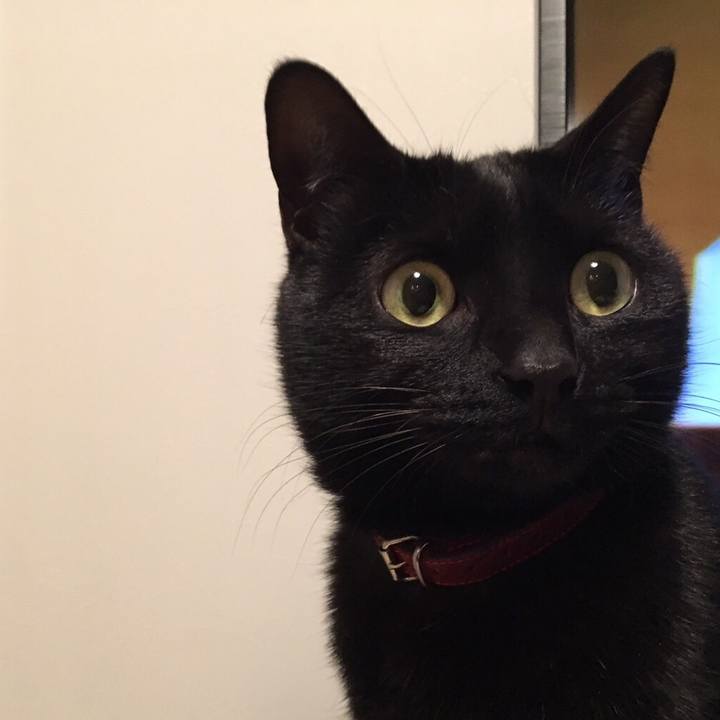 14fcdf96 ec7d 49d0 b6dc be94f872654a