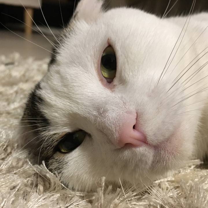 14fd5c4d ec5a 4e77 a7b7 2170e907ce1f