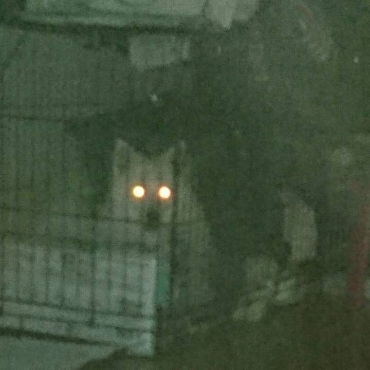 14fdee45 3bfa 40a6 a1ef e04cfeebc28c