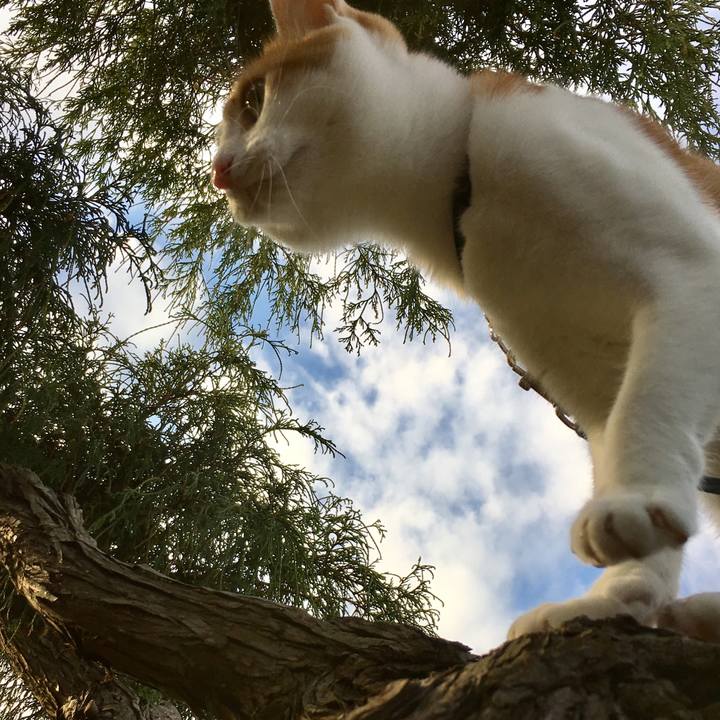 14fdf6e9 9ef9 439f 9f68 d17e655ba312