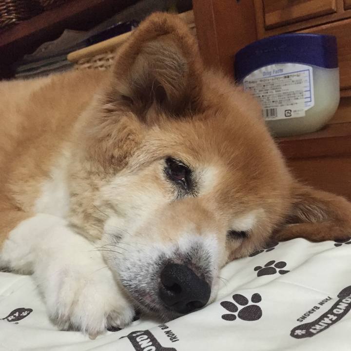 14fe378c 01a5 40b7 8afa 8e63c1bd3f4c