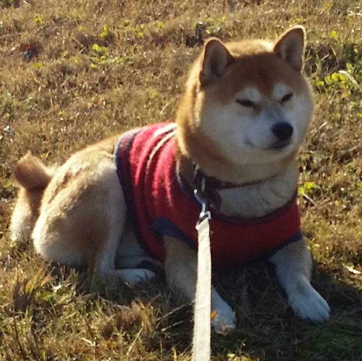 14fef27e ac75 4929 a1e5 701bde246f19