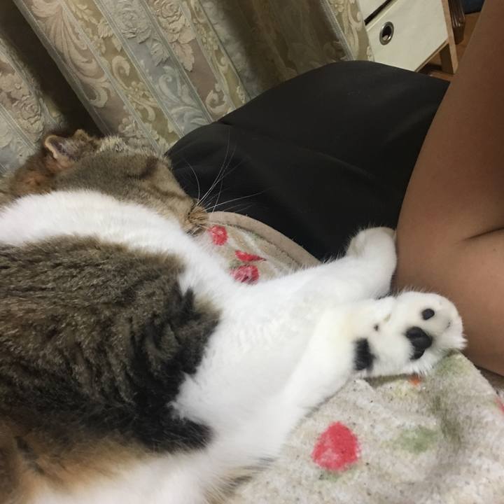 14ff8505 95c4 4912 8b4a a4b4d32ab5ca