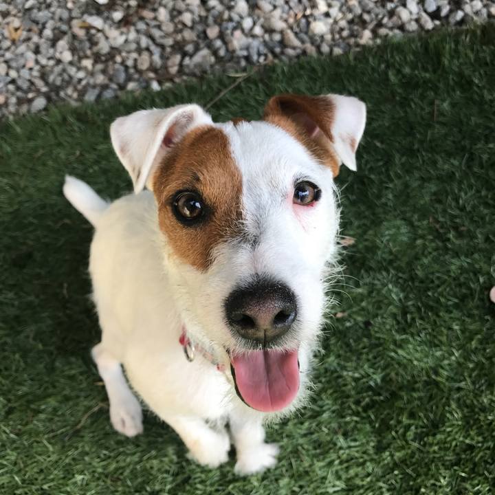 14ff8d88 ba03 4d3a 957b fe5e9f677486