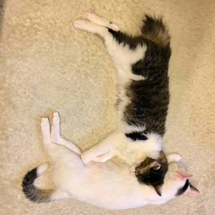 14ffe371 15b1 4f55 bdf5 de2227041e8f