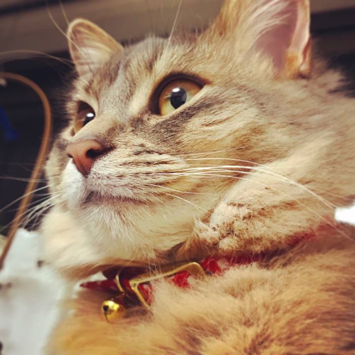 15002df7 af14 4d95 818e 0973341d561a