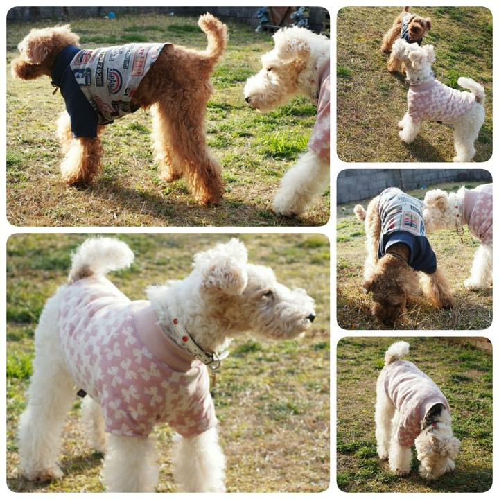 15005d9b 6c08 4192 80ee 72c668421d50