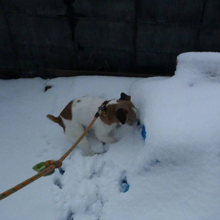 15007725 2714 44ee a003 037fe3828427