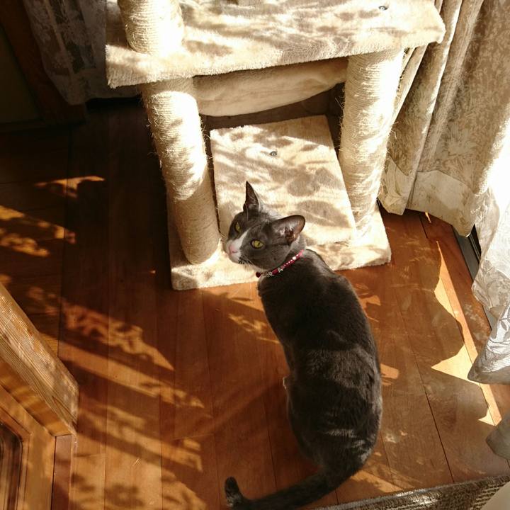 150078c7 8492 40e3 95de 01e3c69e18f5