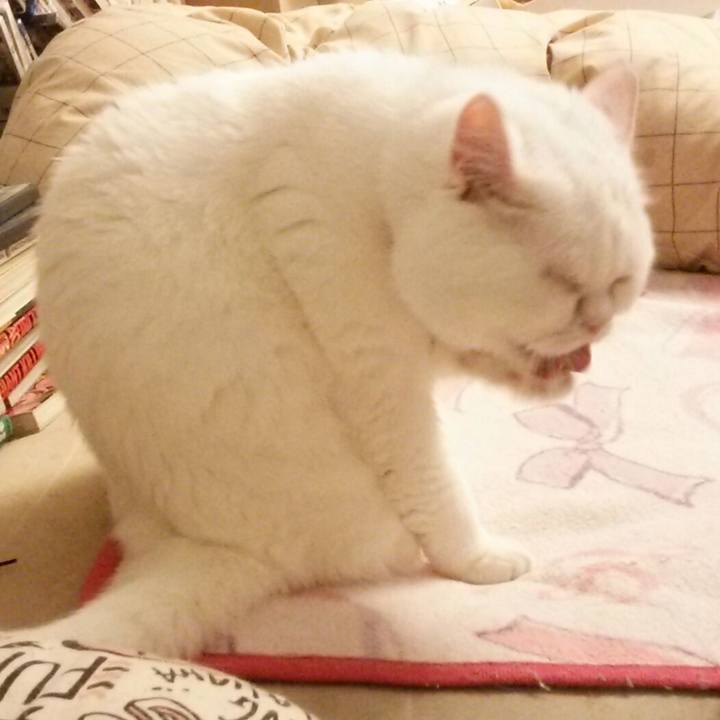 1500a7b6 dbbc 418d b1cb 53cbb2ae90a6