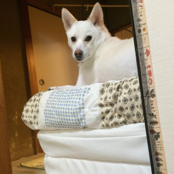 15021feb 78f4 48f2 8d40 3b6184190f68