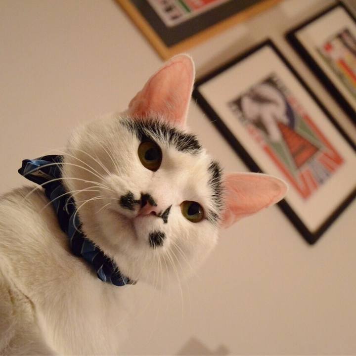 15032857 c87e 466e b105 26e2ebe2f09d