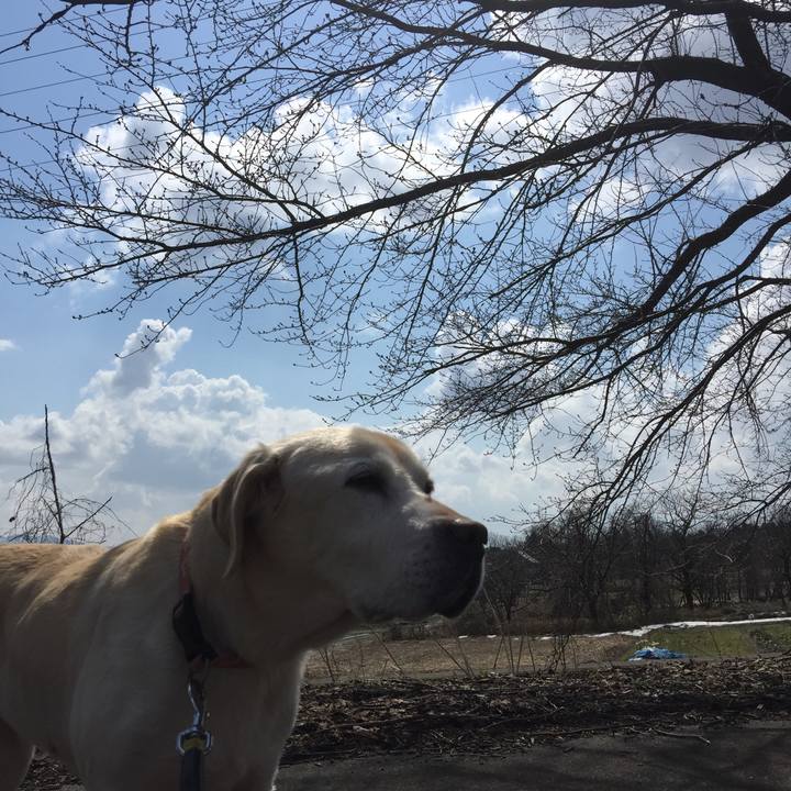 1503bb0a 03f9 4956 a9e2 f17f1db0e862