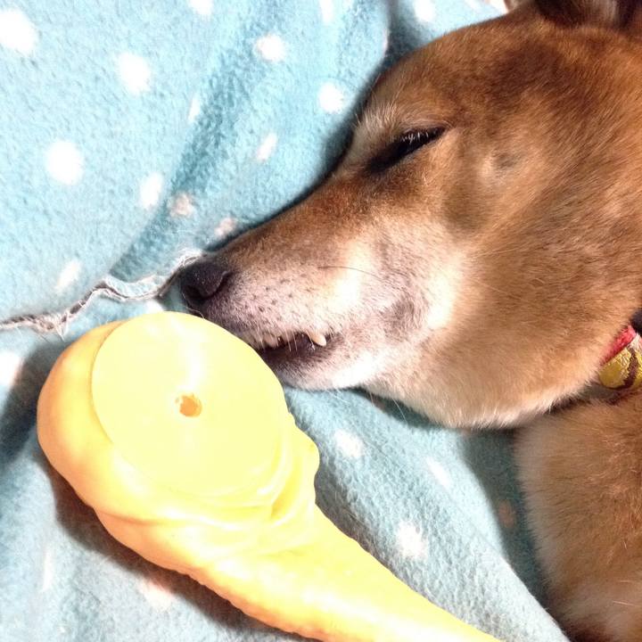 1503eef8 d13c 4e3a 9b5d 144480e7d6b6