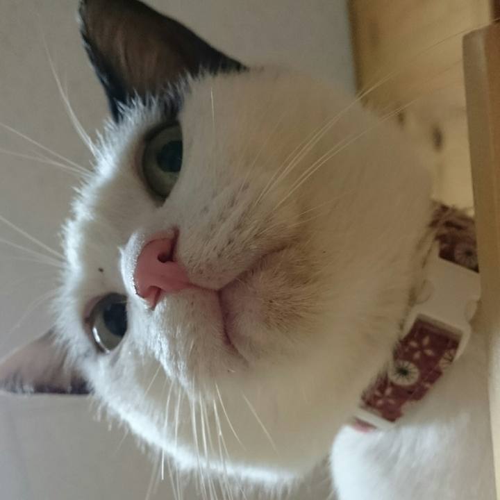 15043f79 8ea9 41c7 a1a1 b48765f88295