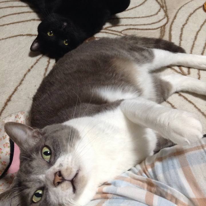 15046bf9 e994 4ab4 9395 dd753c42d96c