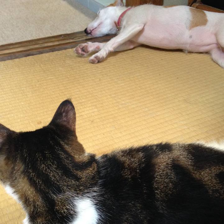 1504a0f7 00bc 4c2d 9c9d 350e3852e5cf