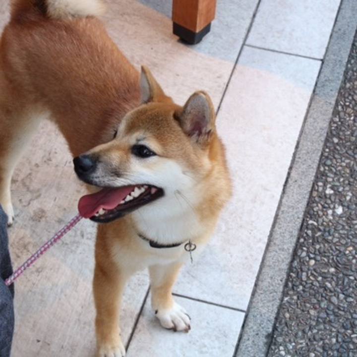 1504d73e 48e1 41d8 9fcc f9aa56376adc