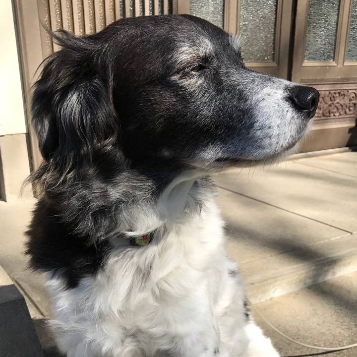 150561f5 7d8b 4458 9b92 f357486ea498