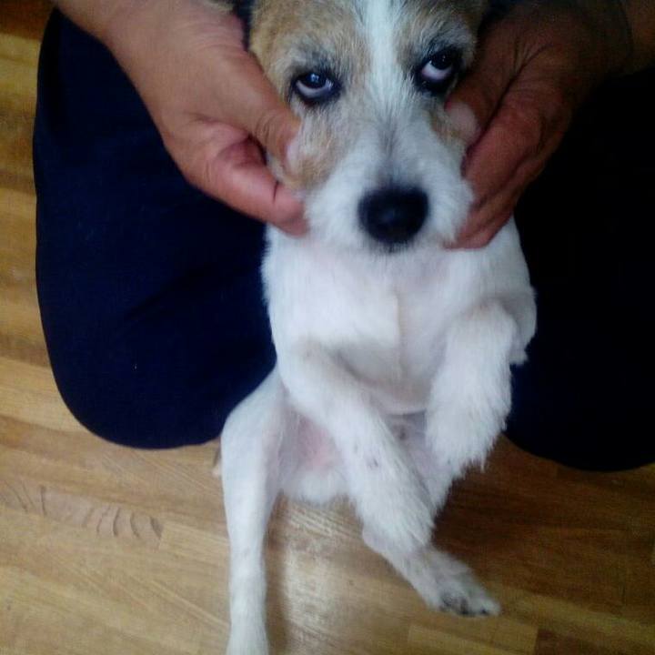 150653c5 ee61 4691 8bbe 54ec5edfb406