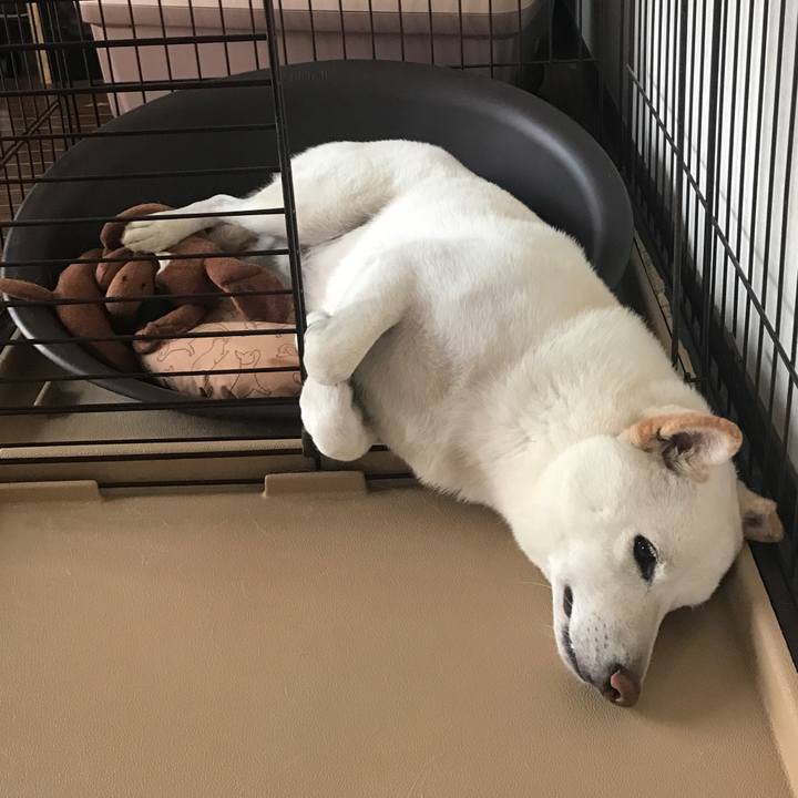 1506fe59 2265 48a7 87b7 c136d1692077